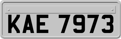 KAE7973