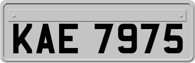 KAE7975
