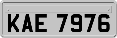 KAE7976