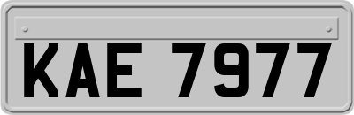 KAE7977