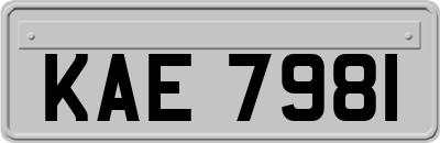 KAE7981