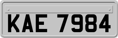 KAE7984
