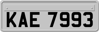 KAE7993