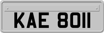 KAE8011