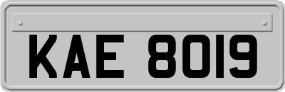 KAE8019