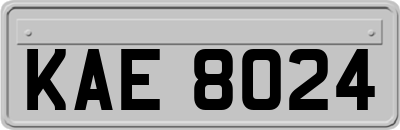 KAE8024