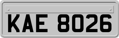 KAE8026