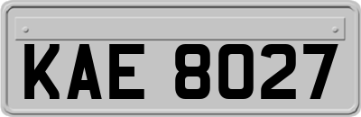 KAE8027