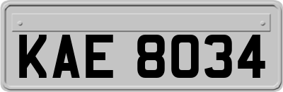 KAE8034
