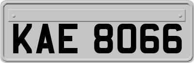 KAE8066