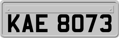 KAE8073