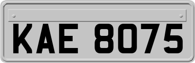 KAE8075