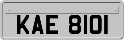 KAE8101