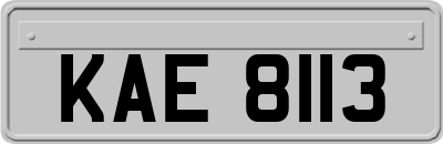 KAE8113