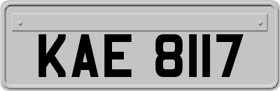 KAE8117