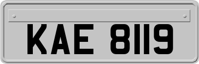 KAE8119