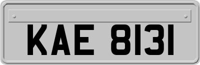 KAE8131