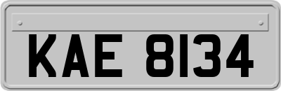 KAE8134