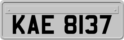 KAE8137