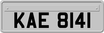 KAE8141