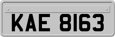 KAE8163