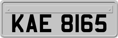 KAE8165