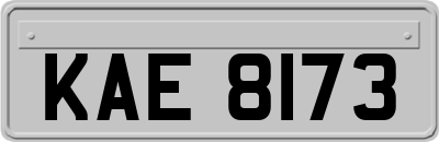 KAE8173