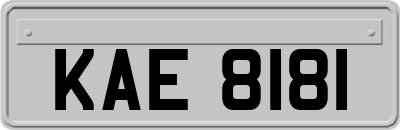 KAE8181