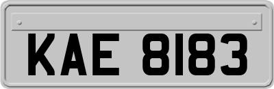 KAE8183