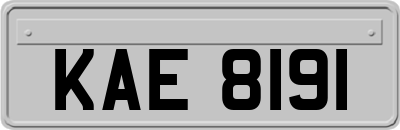 KAE8191