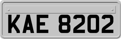 KAE8202