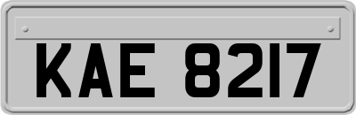 KAE8217
