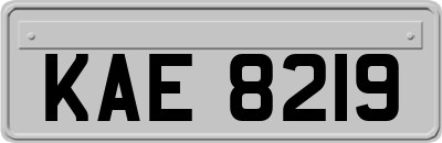 KAE8219