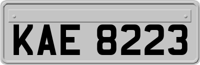 KAE8223
