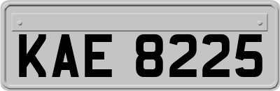 KAE8225