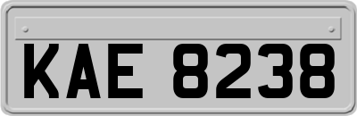 KAE8238