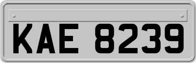 KAE8239