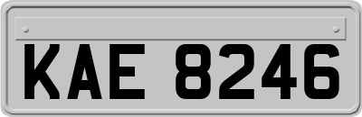 KAE8246