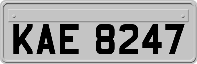 KAE8247