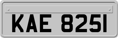 KAE8251