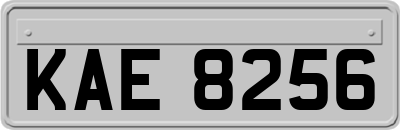 KAE8256