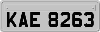 KAE8263