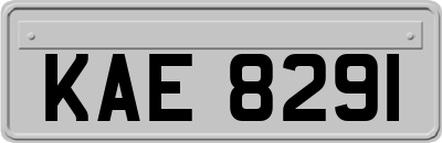 KAE8291