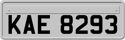 KAE8293