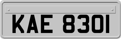 KAE8301