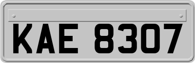 KAE8307