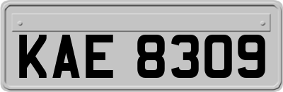 KAE8309