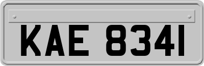 KAE8341