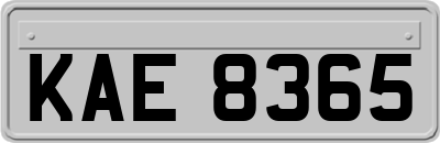 KAE8365