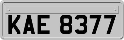 KAE8377